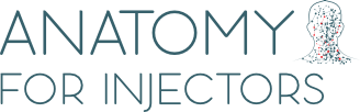 Anatomy For Injectors